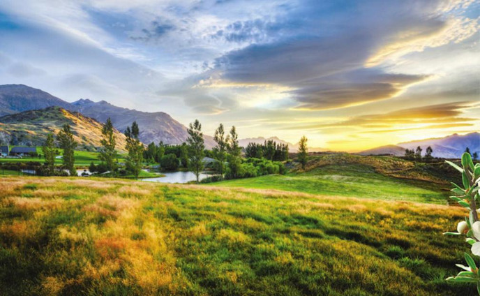 新西兰TranzAlpine有机麦卢卡蜂蜜 带你品尝蜂蜜中的“LV”