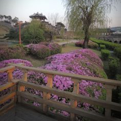 Korean Folk Village-韩国-水原市 Korean Folk Village-韩国-水原市