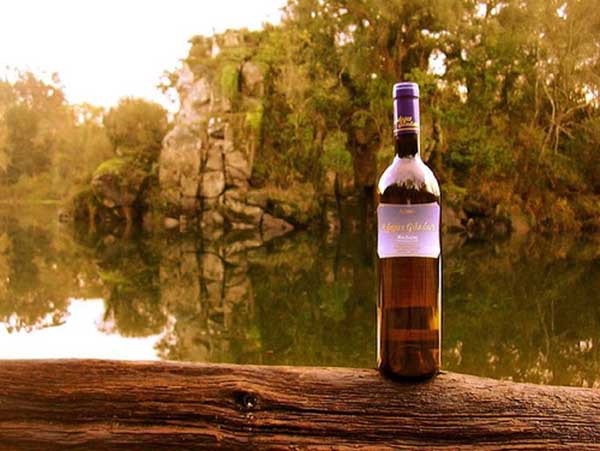 葡萄酒-葡萄牙-里斯本