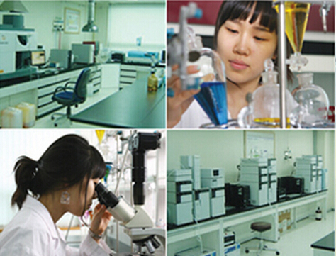 Evome工厂生产工艺