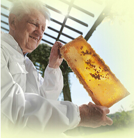 TanzAlpine Honey生产工艺