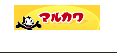 丸川品牌介绍