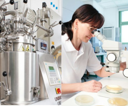 el-cemed牙膏生产工艺