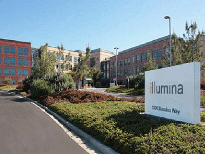 Illumina Soy Candles奥克兰市店图片库