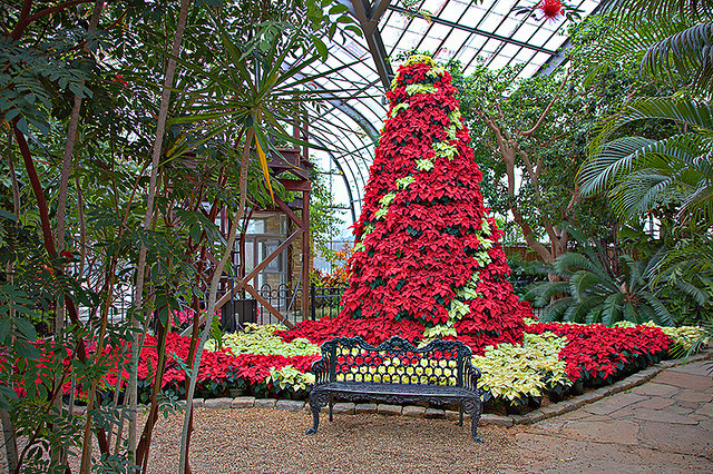 伯明翰植物园-美国-伯明翰 伯明翰植物园-美国-伯明翰