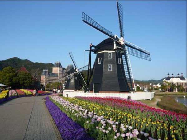 风车-荷兰-阿姆斯特丹 风车-荷兰-阿姆斯特丹