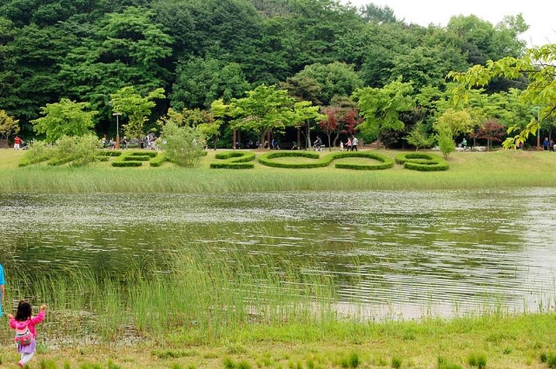 公园湖畔