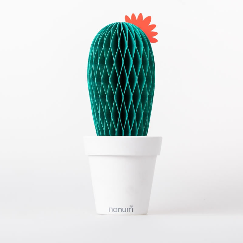 韩国I2M 仙人球盆栽加湿器