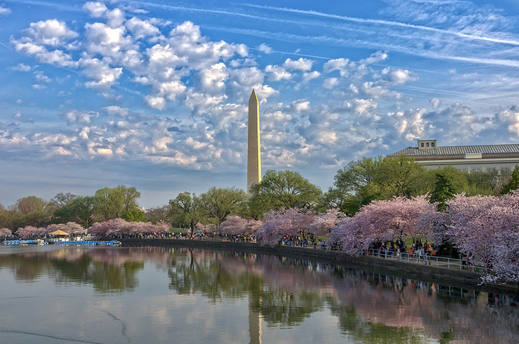潮汐湖-美国华盛顿 潮汐湖