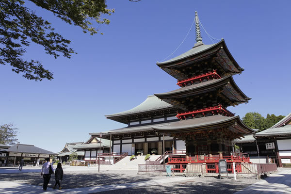 千叶县每年有1000多万名参拜者的成田山新胜寺-日本-千叶县 千叶县每年有1000多万名参拜者的成田山新胜寺-日本-千叶县