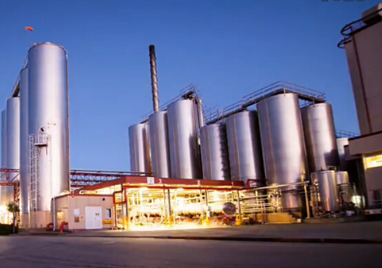 Easiyo奥克兰旗舰店工厂大楼