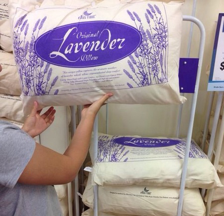 新西兰ellis Fibre薰衣草保健单人枕头 安神助眠 护颈椎