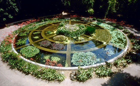 帕多瓦大学植物园-意大利-帕多瓦 帕多瓦大学植物园-意大利-帕多瓦