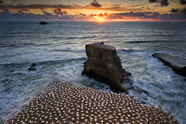 穆里怀沙滩-新西兰-奥克兰市 穆里怀沙滩-新西兰-奥克兰市
