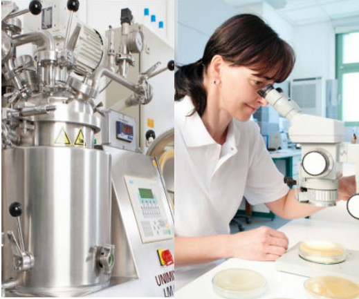 elkadent产品生产工艺