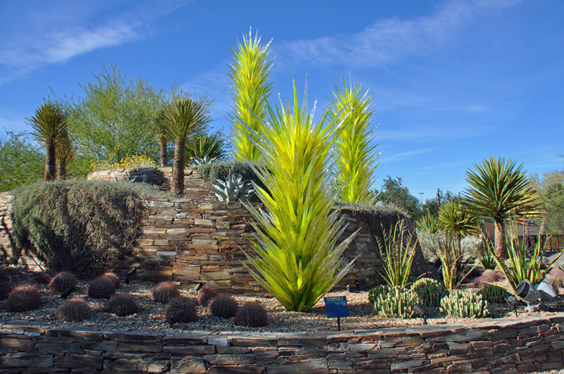 荒漠植物园-美国-菲尼克斯 荒漠植物园-美国-菲尼克斯