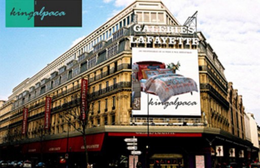 King Alpaca(帝王驼)商场门面