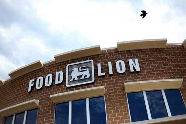 lion-日本-京都府 lion-日本-京都府