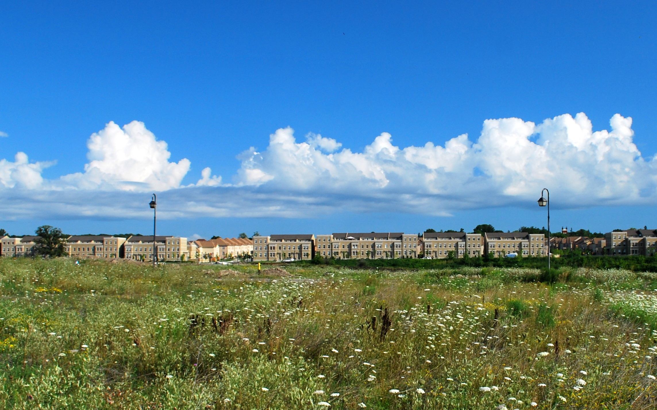 田野风光-加拿大-万锦 田野风光-加拿大-万锦