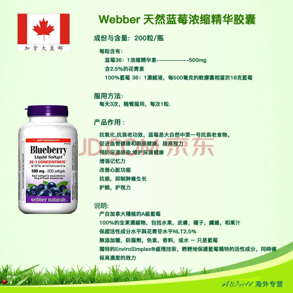 加拿大直邮伟博webbernaturals蓝莓浓缩精华胶囊含花青素200粒