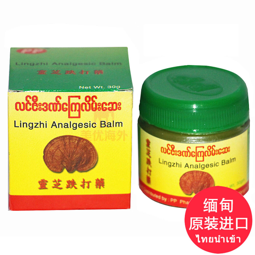 缅甸灵芝跌打药PP牌灵芝膏30g/瓶关节痛铁打扭伤6瓶装