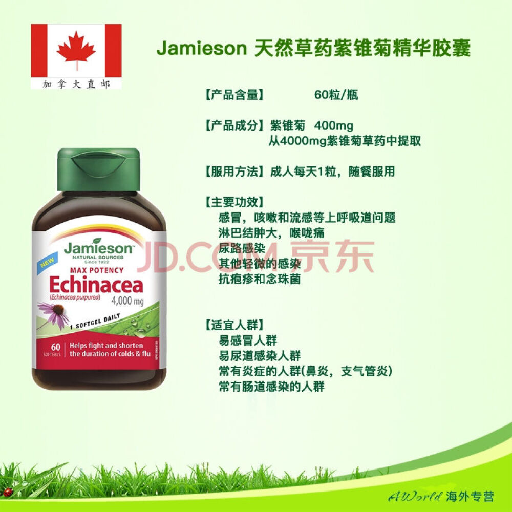 【加拿大直邮】Jamieson健美生天然草药紫锥菊精华胶囊4000mg*60粒预防流感