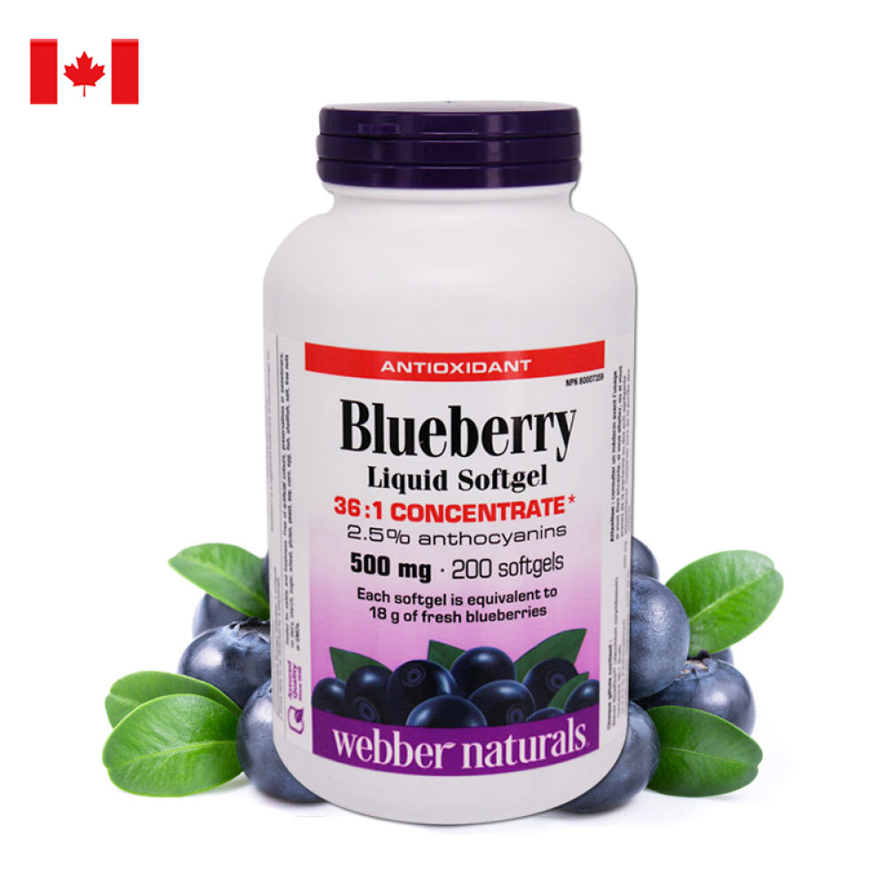 加拿大伟博蓝莓浓缩精华胶囊webbernaturals保护视力200粒原装进口营养保健品