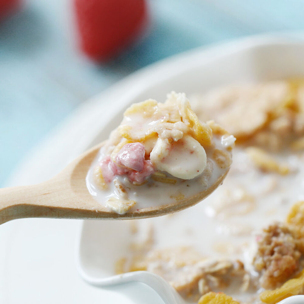 ICA水果麦片Special高端燕麦片营养早餐即食麦片蓝莓蔓越莓麦片500g