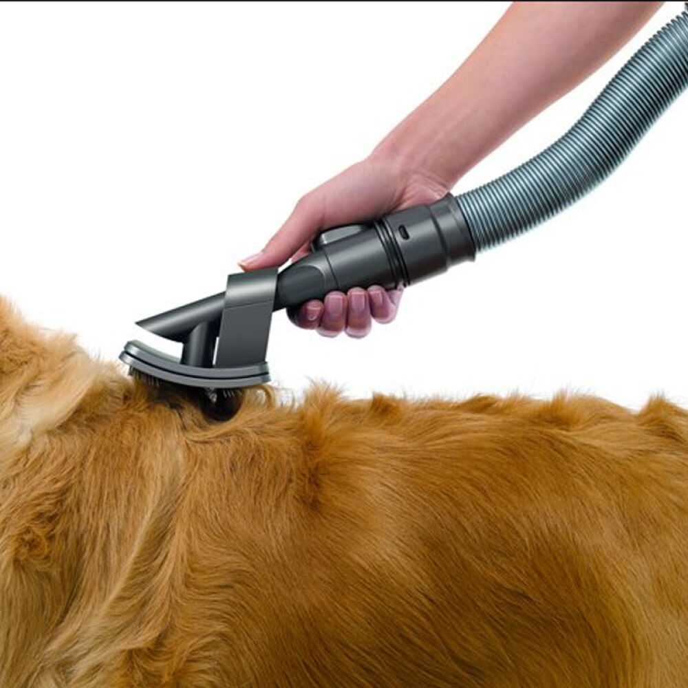 欧洲荷兰直邮德国dyson戴森吸尘器配件GroomHondenkam宠物清洁刷头