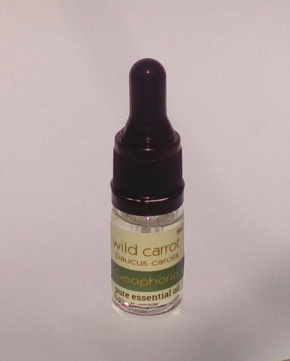 wildcarrotpureessentialoil(Daucuscarota)5ml wildcarrotpureessentialoil(Daucuscarota)5ml