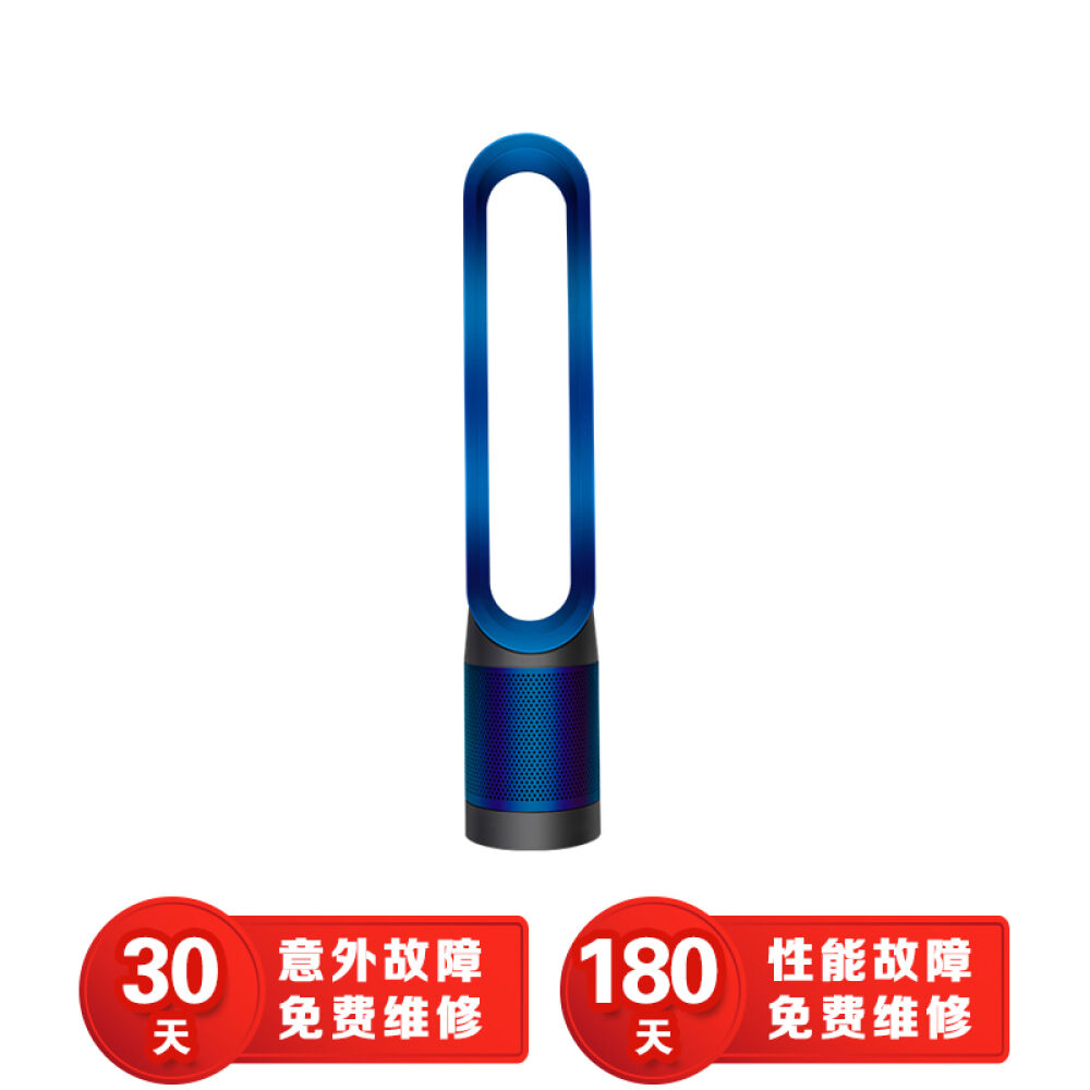 戴森（Dyson）TP02落地式无叶空气净化风扇遥控风扇APP智能监测控制铁蓝色