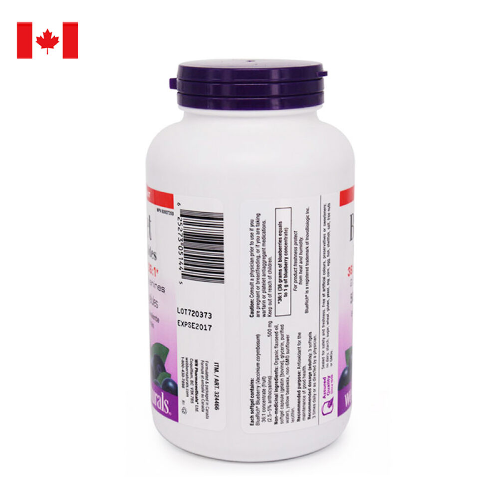 加拿大伟博蓝莓浓缩精华胶囊webbernaturals保护视力200粒原装进口营养保健品