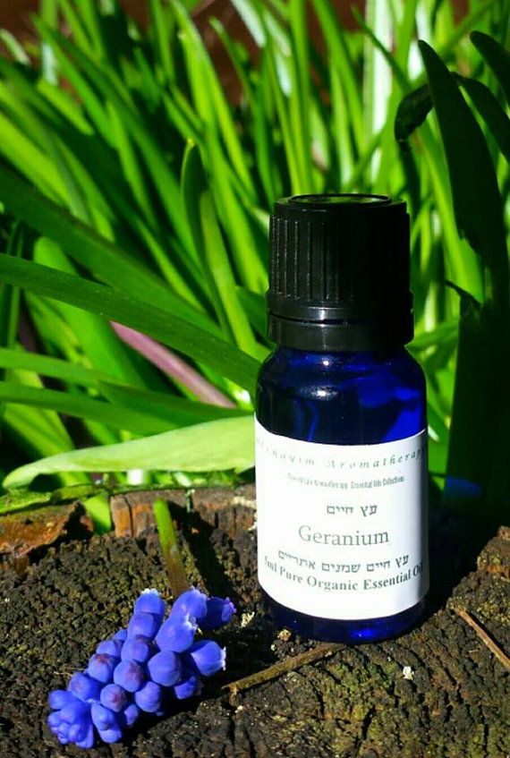 geraniumhighqualityessentialoil10ml-美国香薰精油