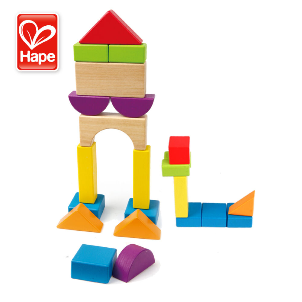 一种由塑料积木一块一块拼在一起组成各种模型的玩具叫什么?