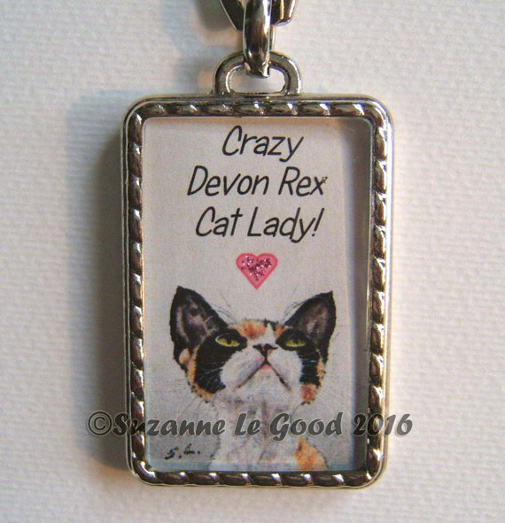 devonrexcatkeyring/handbagcharmwithprintfromoriginalpaintingby