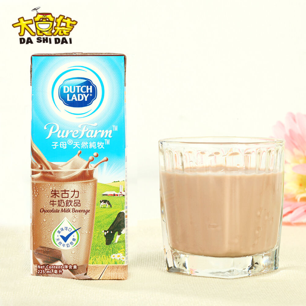 荷兰进口牛奶Dutchlady子母奶巧克力牛奶225ml（200ml）*6盒巧克力味