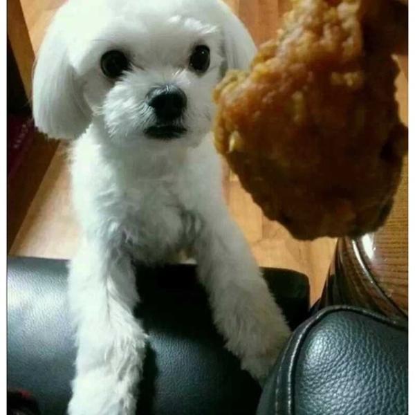 Photo taken at 이마트 (e-mart) by narm on 11/1/2013-京畿道高阳市东阳区79易买得超市 Photo taken at 이마트 (e-mart) by narm on 11/1/2013