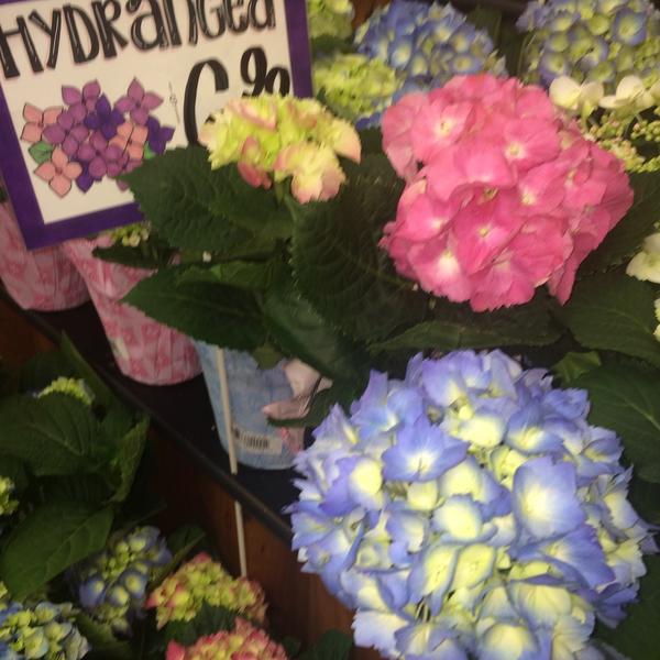 Photo taken at Trader Joe's by Shannon on 3/22/2015-加尼福尼亚欧文欧文大道6222(在沙峡谷大道) Photo taken at Trader Joe's by Shannon on 3/22/2015