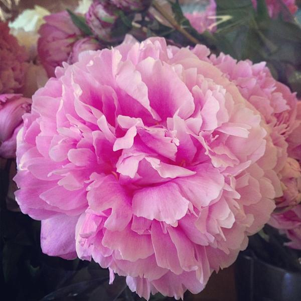 Photo taken at Trader Joe's by Michelle J. on 6/5/2013