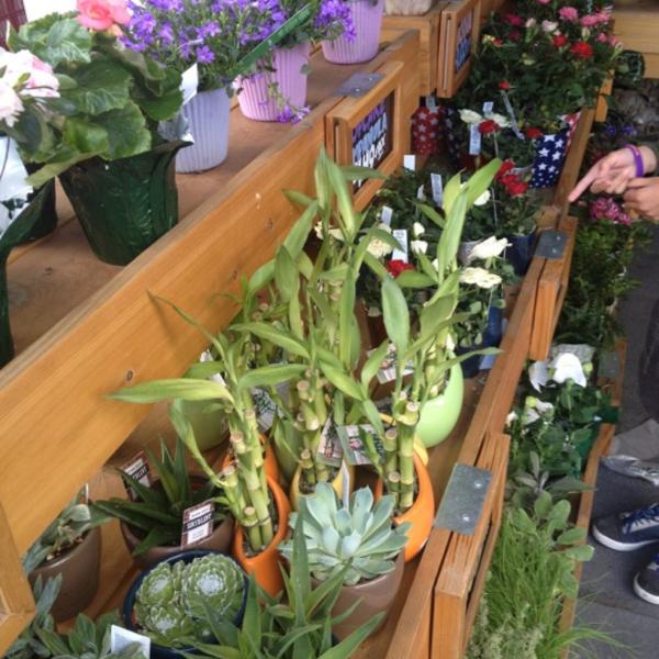 Photo taken at Trader Joe's by Alfred C. on 6/23/2012-加利福尼亚州94087 森尼韦尔 西埃尔卡米诺雷亚尔(在马蒂尔达大道)316号 Photo taken at Trader Joe's by Alfred C. on 6/23/2012