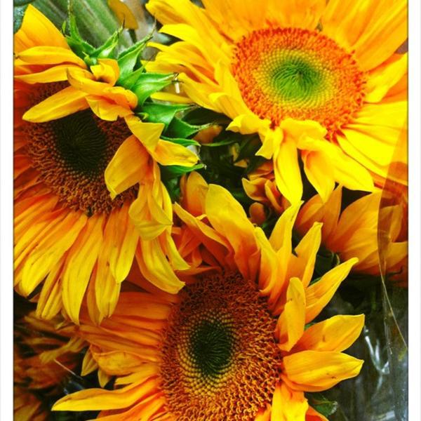 Photo taken at Trader Joe's by Evangeline B. on 8/1/2012