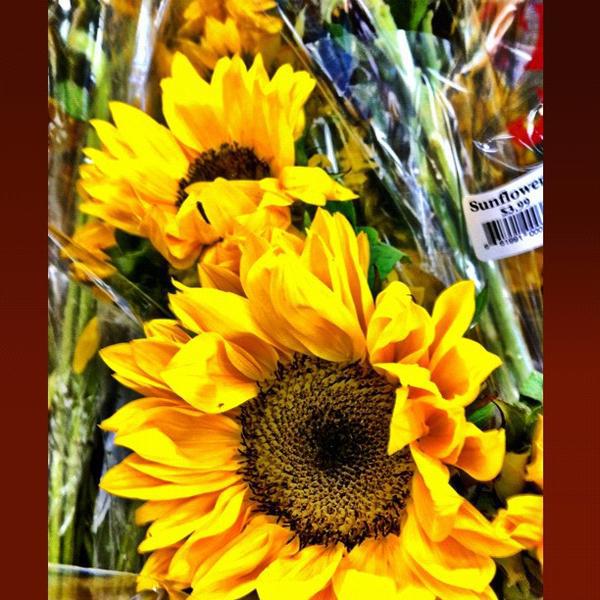 Photo taken at Trader Joe's by Evangeline B. on 2/19/2012