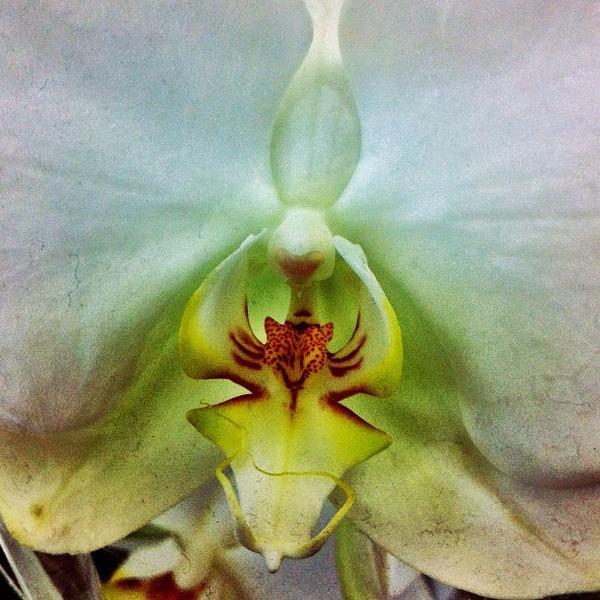 Photo taken at Trader Joe's by Evangeline B. on 4/23/2012