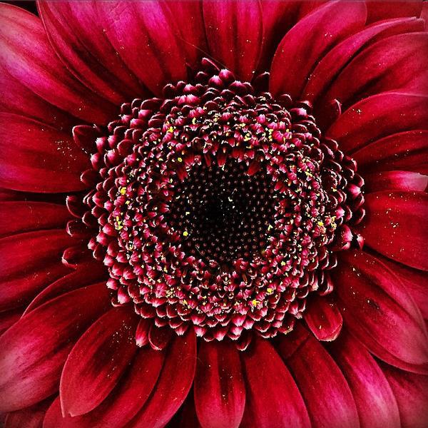 Photo taken at Trader Joe's by Louise M. on 4/9/2015