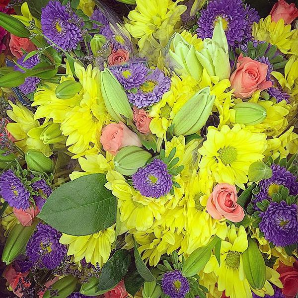 Photo taken at Trader Joe's by Louise M. on 3/20/2015