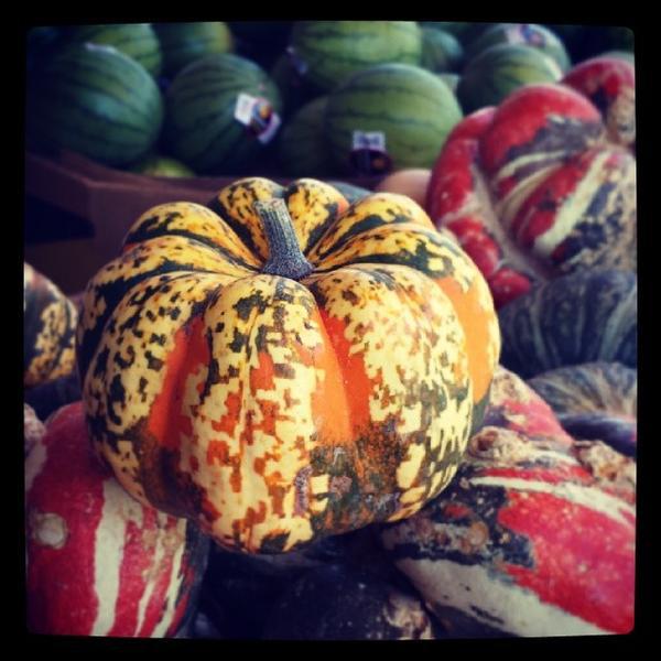 Trader Joe's乔氏连锁圣何塞店 加尼福尼亚圣荷西阿尔马登高速路5353＃J-38