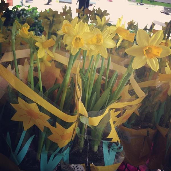 Photo taken at Trader Joe's by MoniQue on 1/28/2013-亚利桑那州凤凰城北部第二十大街4821号 Photo taken at Trader Joe's by MoniQue on 1/28/2013