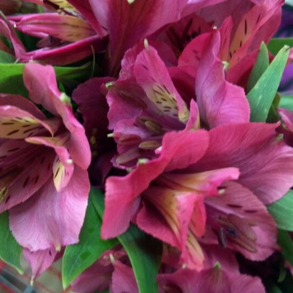 Photo taken at Trader Joe's by Irene V. on 10/1/2012-亚利桑那州凤凰城北部第二十大街4821号 Photo taken at Trader Joe's by Irene V. on 10/1/2012