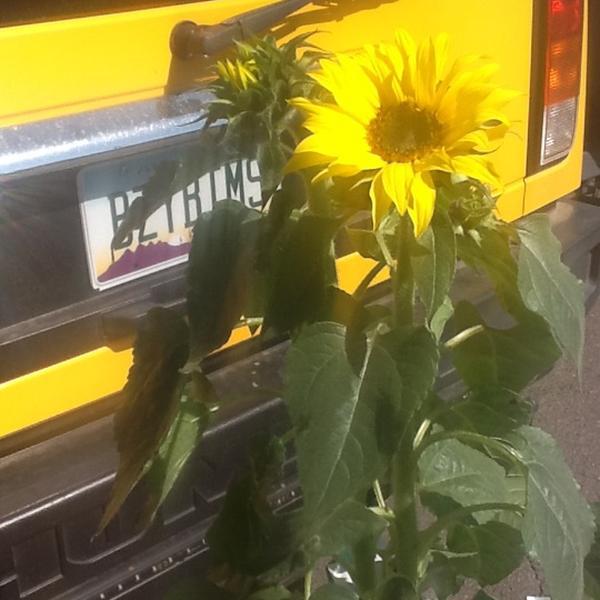 Photo taken at Trader Joe's by Armando S. on 10/10/2012-亚利桑那州凤凰城北部第二十大街4821号 Photo taken at Trader Joe's by Armando S. on 10/10/2012