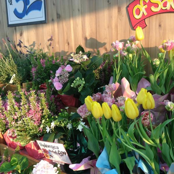 Photo taken at Trader Joe's by Karen L. on 5/20/2013